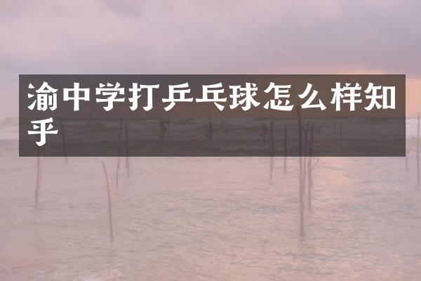 渝中学打乒乓球怎么样知乎