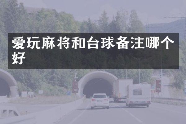 爱玩麻将和台球备注哪个好
