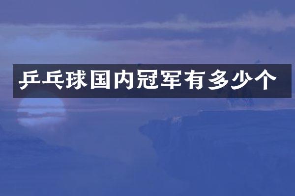 乒乓球国内冠军有多少个