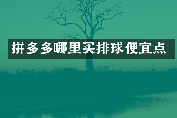 拼多多哪里买排球便宜点