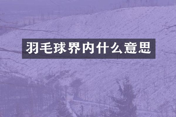 羽毛球界内什么意思