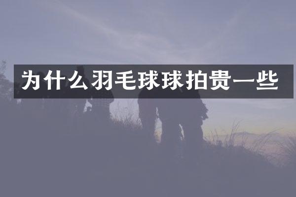 为什么羽毛球球拍贵一些