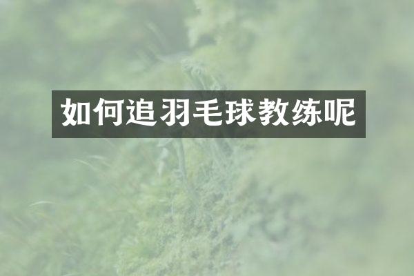如何追羽毛球教练呢