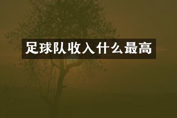 足球队收入什么最高