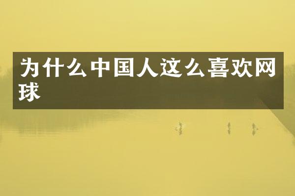 为什么中国人这么喜欢网球