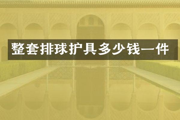 整套排球护具多少钱一件