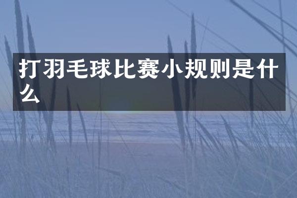 打羽毛球比赛小规则是什么