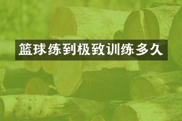 篮球练到极致训练多久