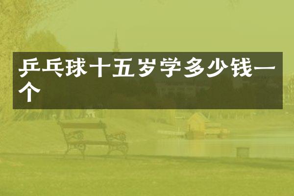 乒乓球十五岁学多少钱一个