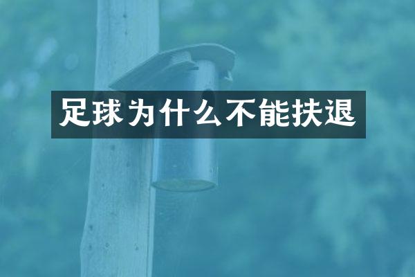 足球为什么不能扶退