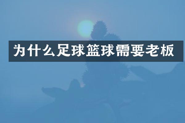 为什么足球篮球需要老板