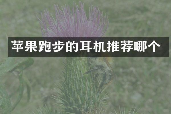 苹果跑步的耳机推荐哪个