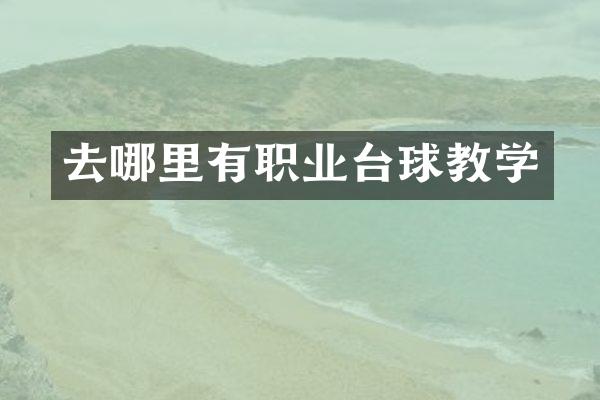 去哪里有职业台球教学