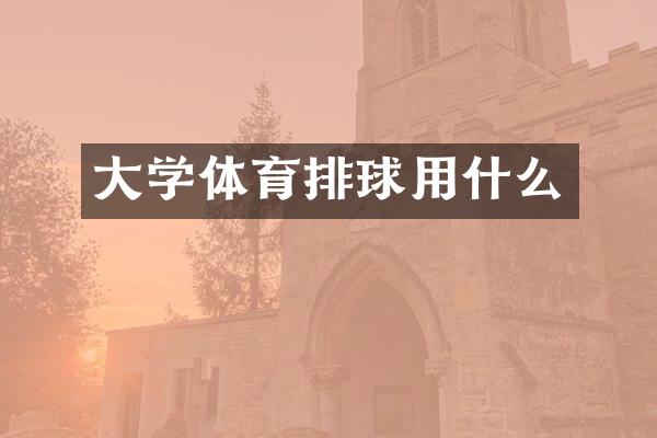 大学体育排球用什么