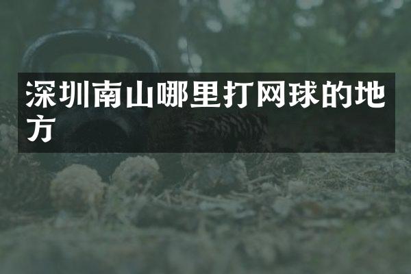 深圳南山哪里打网球的地方