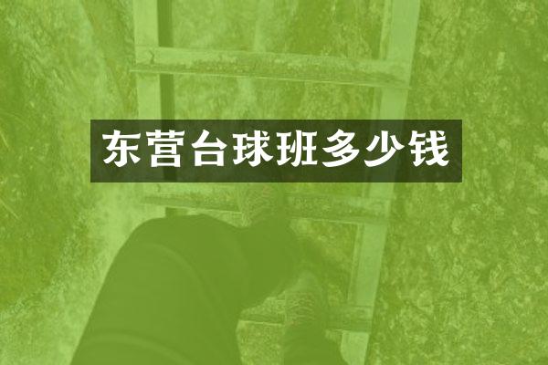东营台球班多少钱