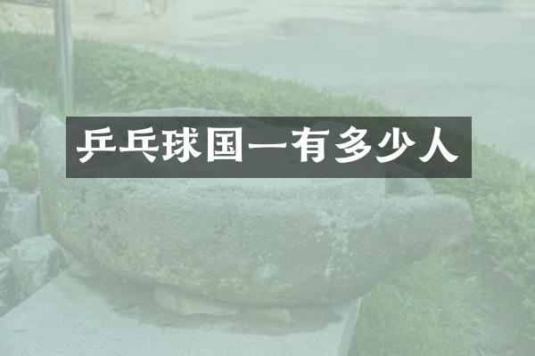 乒乓球国一有多少人