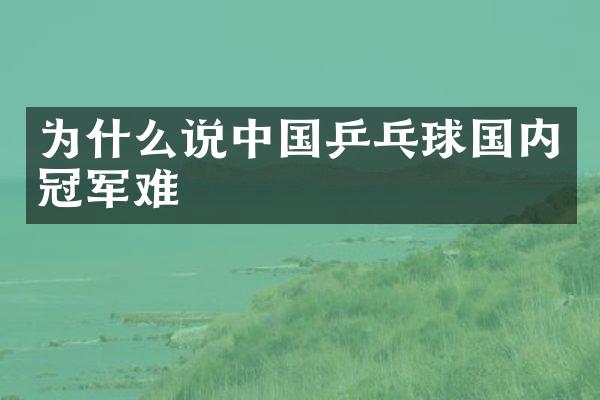 为什么说中国乒乓球国内冠军难