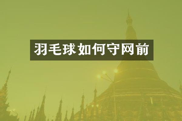 羽毛球如何守网前