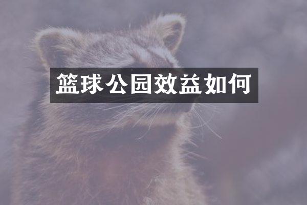 篮球公园效益如何