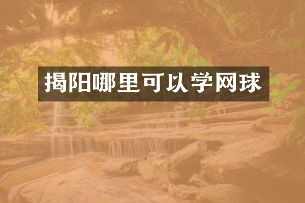 揭阳哪里可以学网球