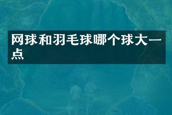 网球和羽毛球哪个球大一点