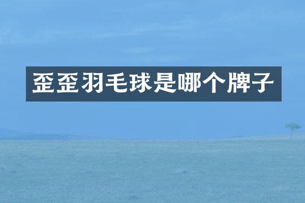 歪歪羽毛球是哪个牌子