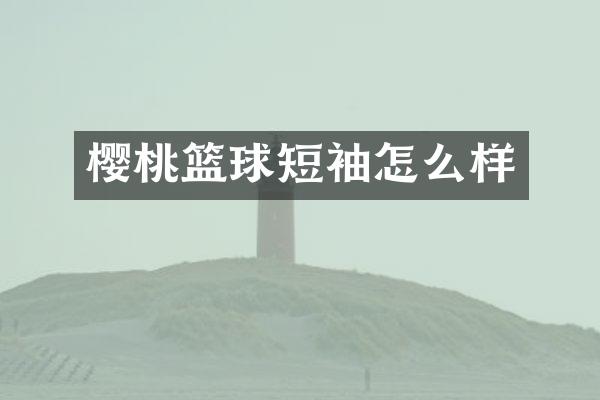 樱桃篮球短袖怎么样