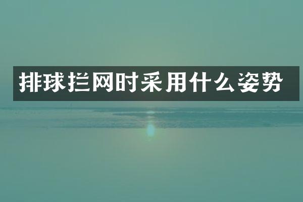 排球拦网时采用什么姿势