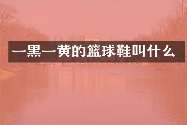 一黑一黄的篮球鞋叫什么