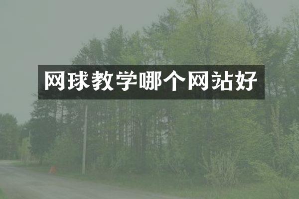 网球教学哪个网站好