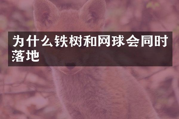 为什么铁树和网球会同时落地