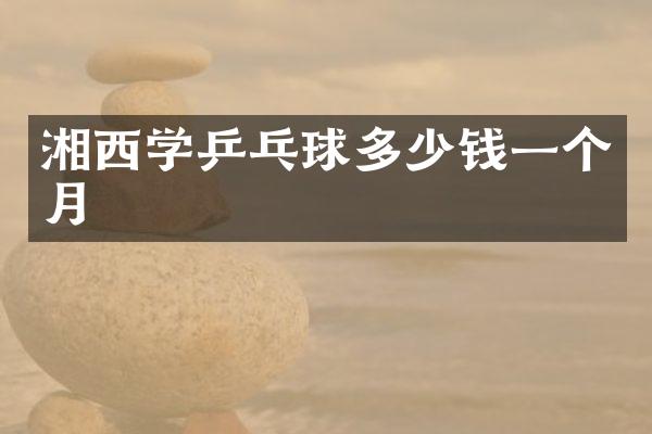 湘西学乒乓球多少钱一个月