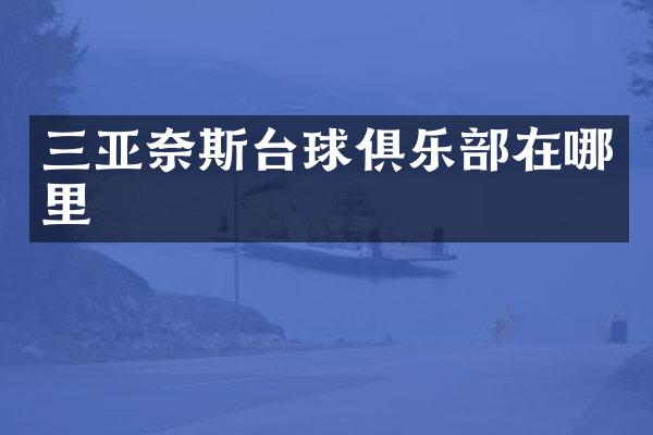 三亚奈斯台球俱乐部在哪里