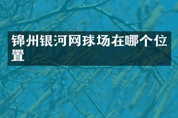 锦州银河网球场在哪个位置
