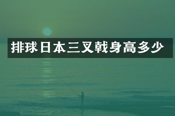 排球日本三叉戟身高多少