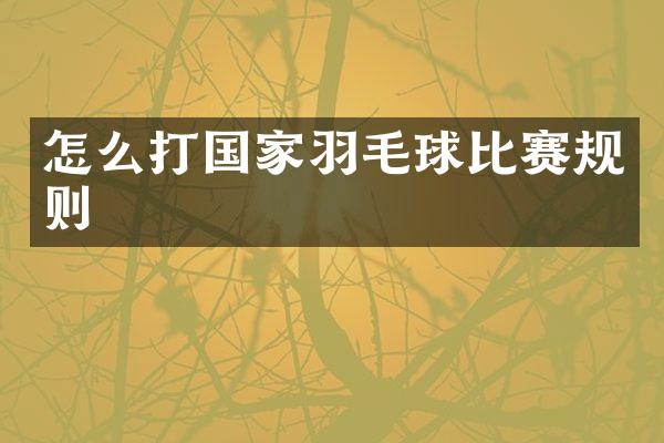 怎么打国家羽毛球比赛规则