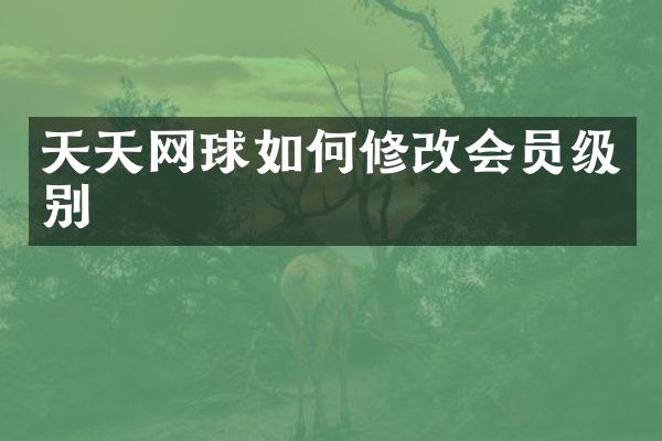 天天网球如何修改会员级别