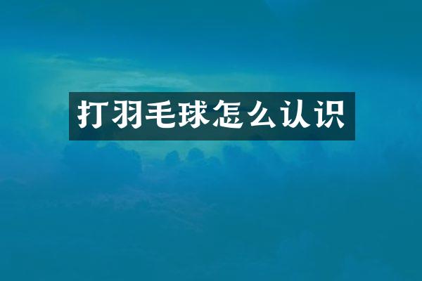 打羽毛球怎么认识