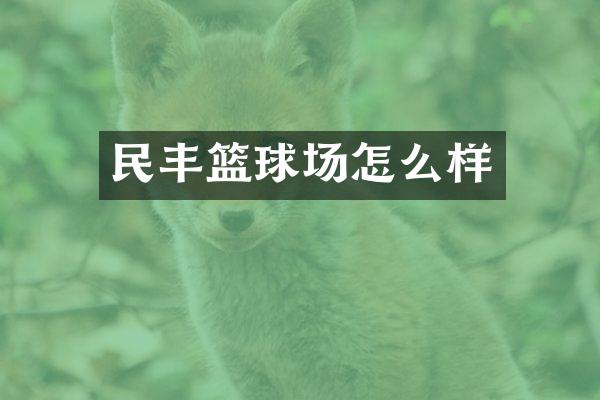 民丰篮球场怎么样