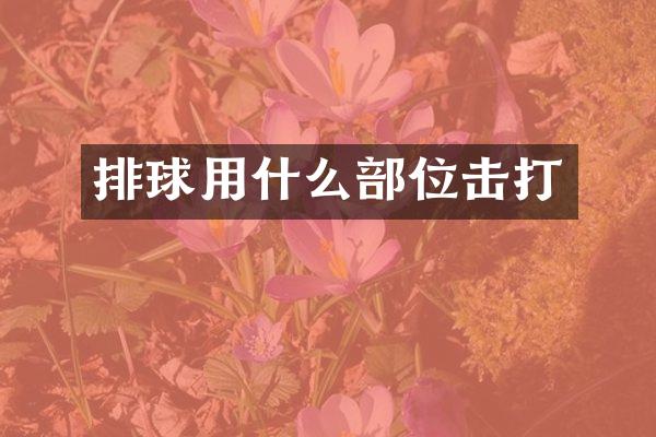 排球用什么部位击打