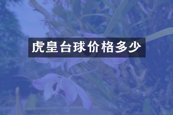 虎皇台球价格多少