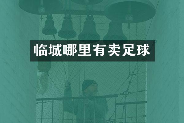 临城哪里有卖足球