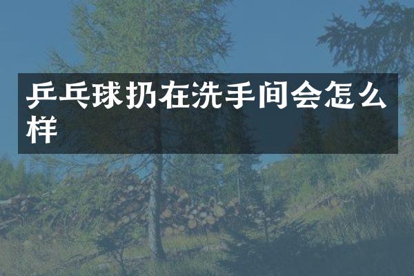 乒乓球扔在洗手间会怎么样