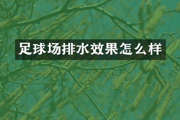 足球场排水效果怎么样