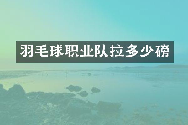 羽毛球职业队拉多少磅