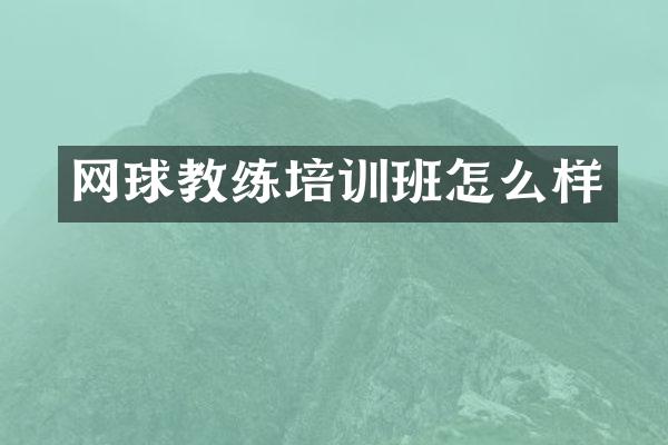 网球教练培训班怎么样