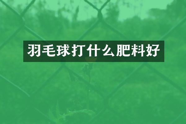 羽毛球打什么肥料好