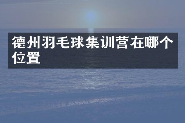 德州羽毛球集训营在哪个位置