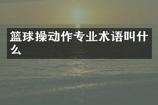 篮球操动作专业术语叫什么